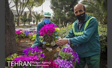 اجرای طرح استقبال از نوروز ۱۴۰۰ در منطقه 17