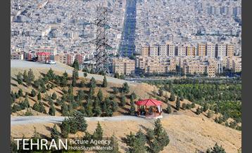 بوستان جنگلی لتمال کن 9