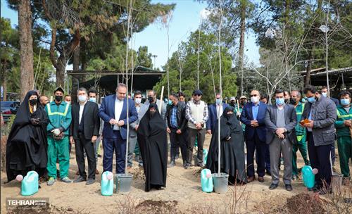 روز درختکاری با حضور مادران شهدا 8