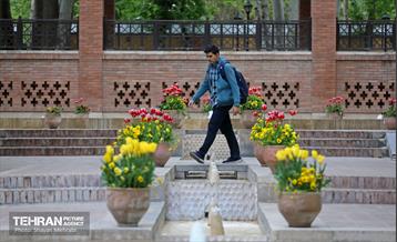 تور عکاسی از باغ ایرانی 19