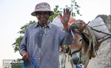 یک روز تعطیل در درکه 25