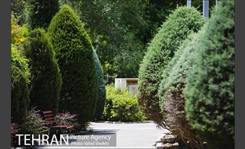 بوستان میعاد 2