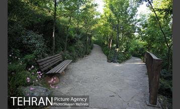 باغ پرندگان تهران 6