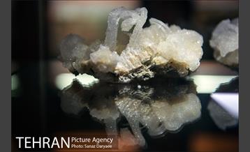 موزه علوم زمین‎ 21