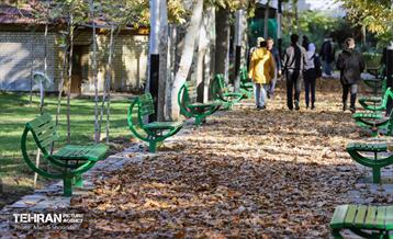 سمفونی رنگ های پاییزی - بوستان اندیشه 12