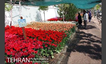 لاله برای مادران 1