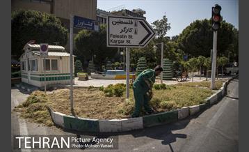 بلوار کشاورز 4