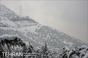 برف زمستانی پارک جمشیدیه 7