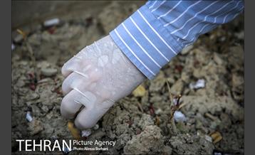 روز جهانی زمین پاک 7