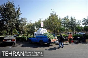 میوه فروشان خیابانی 21