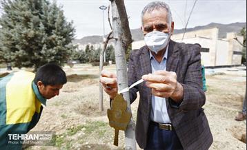 غرس ١٠٠ اصله نهال در دریاچه شهدای خلیج فارس با حضور خانواده شهدای هم محله‌ای 16