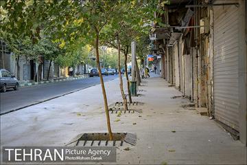 باز پیرایی خیابان 50 ساله 15