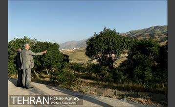 بازدید شهردار تهران از طرح‌های جنگل کاری شمال تهران  15