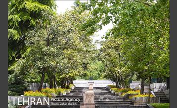 بوستان نیاوران 9