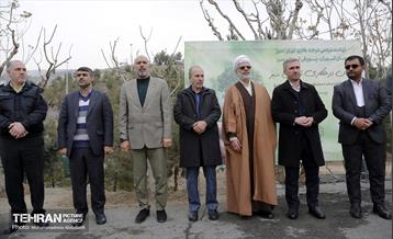 جشن درختکاری در منطقه ۵ 16