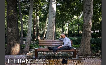 شهرنگار؛ باغ ایرانی 2