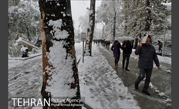 بارش اولین برف پاییزی در تهران 33