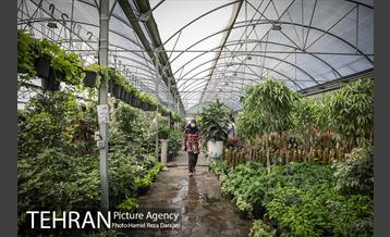 تور عکاسی از پروژه های منطقه 21