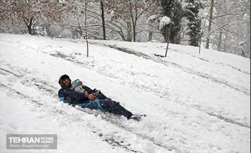 بارش برف در تهران 31