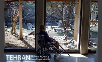 موزه طبیعت و حیات وحش دارآباد تهران 16