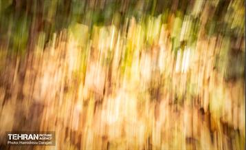 گذرگاه های پاییزی پایتخت - باغ فردوس  21