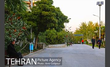 بوستان گفتگو‎ 31