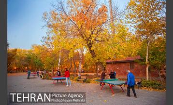 طبیعت پاییزی پارک شهر 12