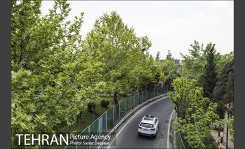 بوستان آزادگان 4