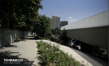 پل تندرستی 20