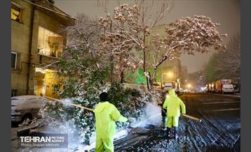 بارش برف زمستانی در معابر شمالی پایتخت - 1 14