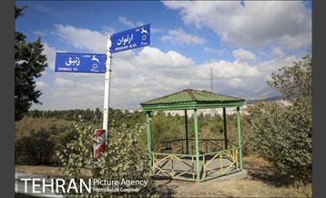 بوستان سرخه حصار 10