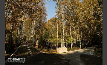 آخرین روزهای پاییزی  10