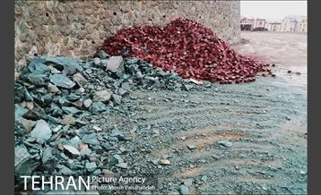 تهران بارانی 8