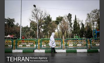 بارش باران بهاری در تهران 2