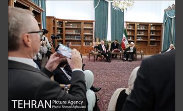 دیدار شهردار وین با رئیس تشخیص مصلحت نظام 12