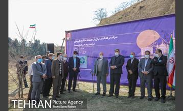 مراسم درختکاری در بوستان پردیسان 25