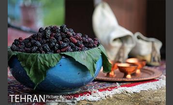 دومین جشنواره شاتوت دردهستان سولقان 30