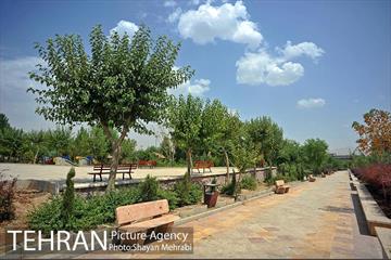 بوستان الغدیر 17