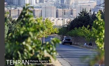 بوستان جنگلی لتمال کن 25