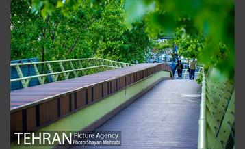 پل بوستان آب و آتش 29