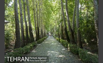 بوستان جمشیدیه‎ 1