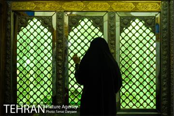 یازدهمین تور عکاسی آژانس عکس تهران از مکان های شاخص منطقه پانزده‎ 7