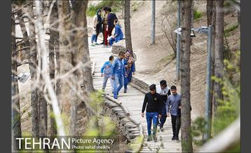 بوستان طالقانی 21