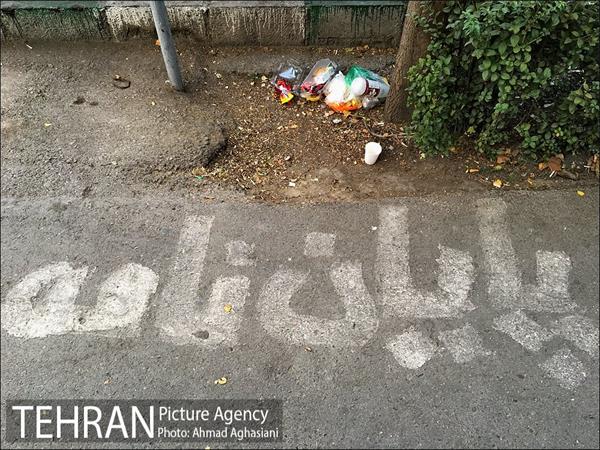 تجارت غیرقانونی "پایان نامه" 13