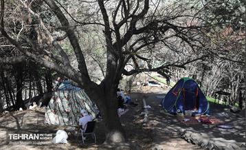 روز طبیعت در پارک جنگلی لویزان 39