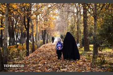 گذرگاه های پاییزی پایتخت - منطقه 14