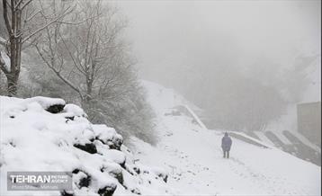 بارش برف زمستانی در تهران 13