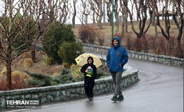 بارش باران زمستانی در تهران 31