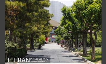 بوستان میعاد 8