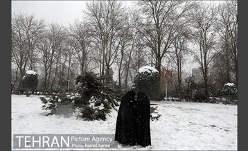 روز برفی بلوار کشاورز 14